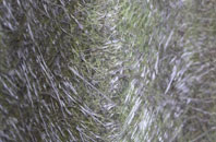 Mounters fibreglass roof work